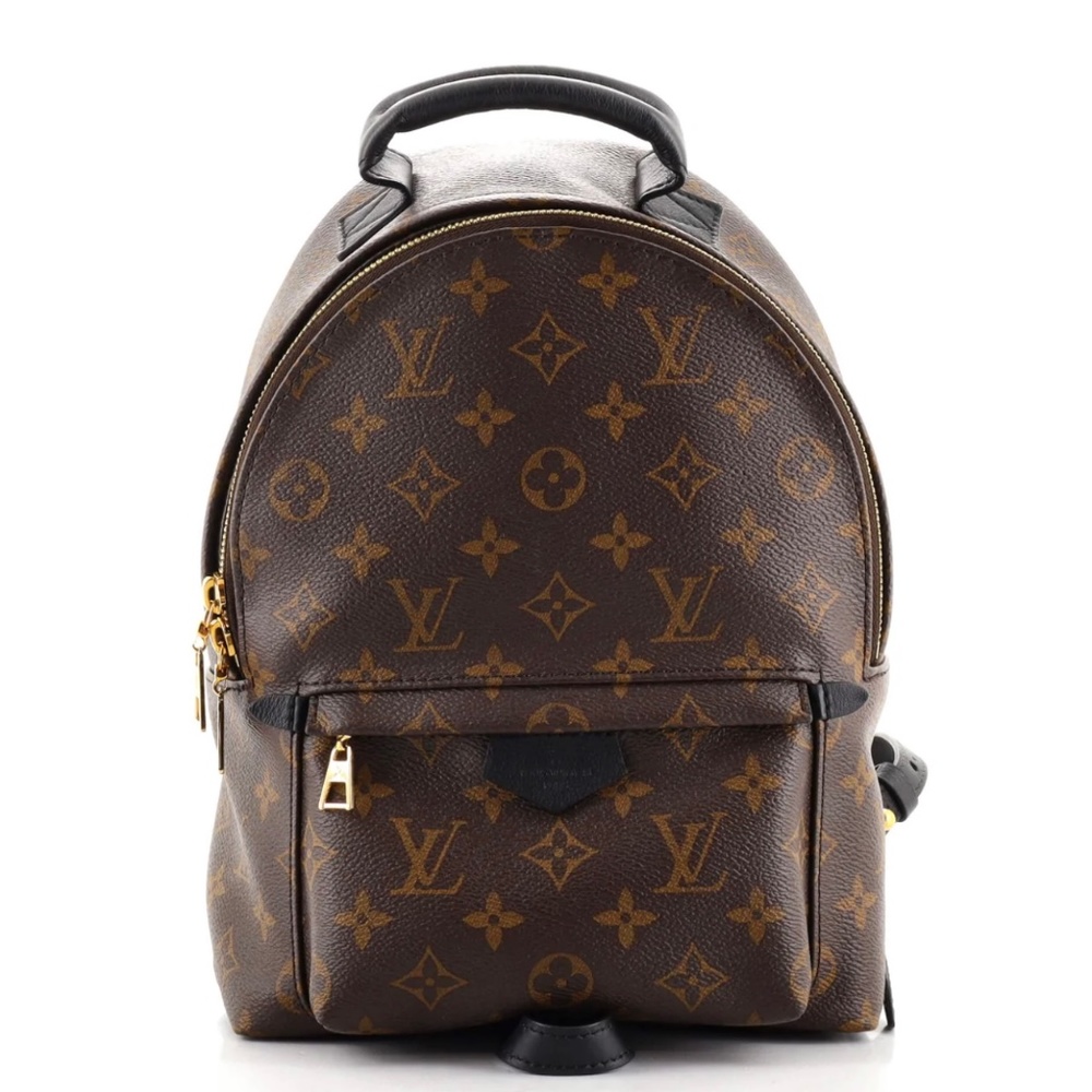 Louis Vuitton Palm Springs Backpack Monogram Canvas PM